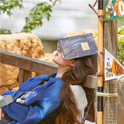 公园男孩：他X的都柏林现场秀