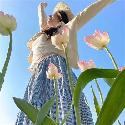 精灵高中：电影版